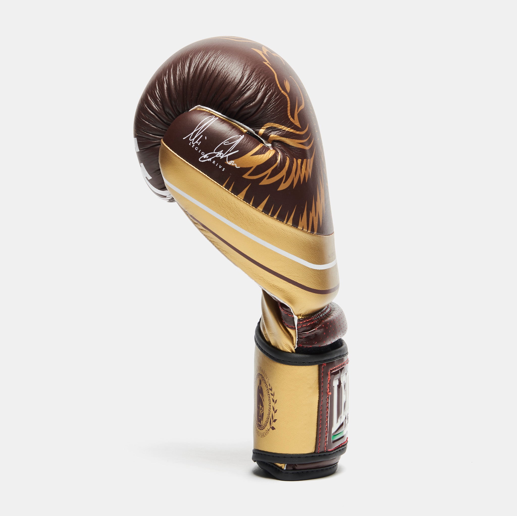 LEGIONARIVS BOXING GLOVES