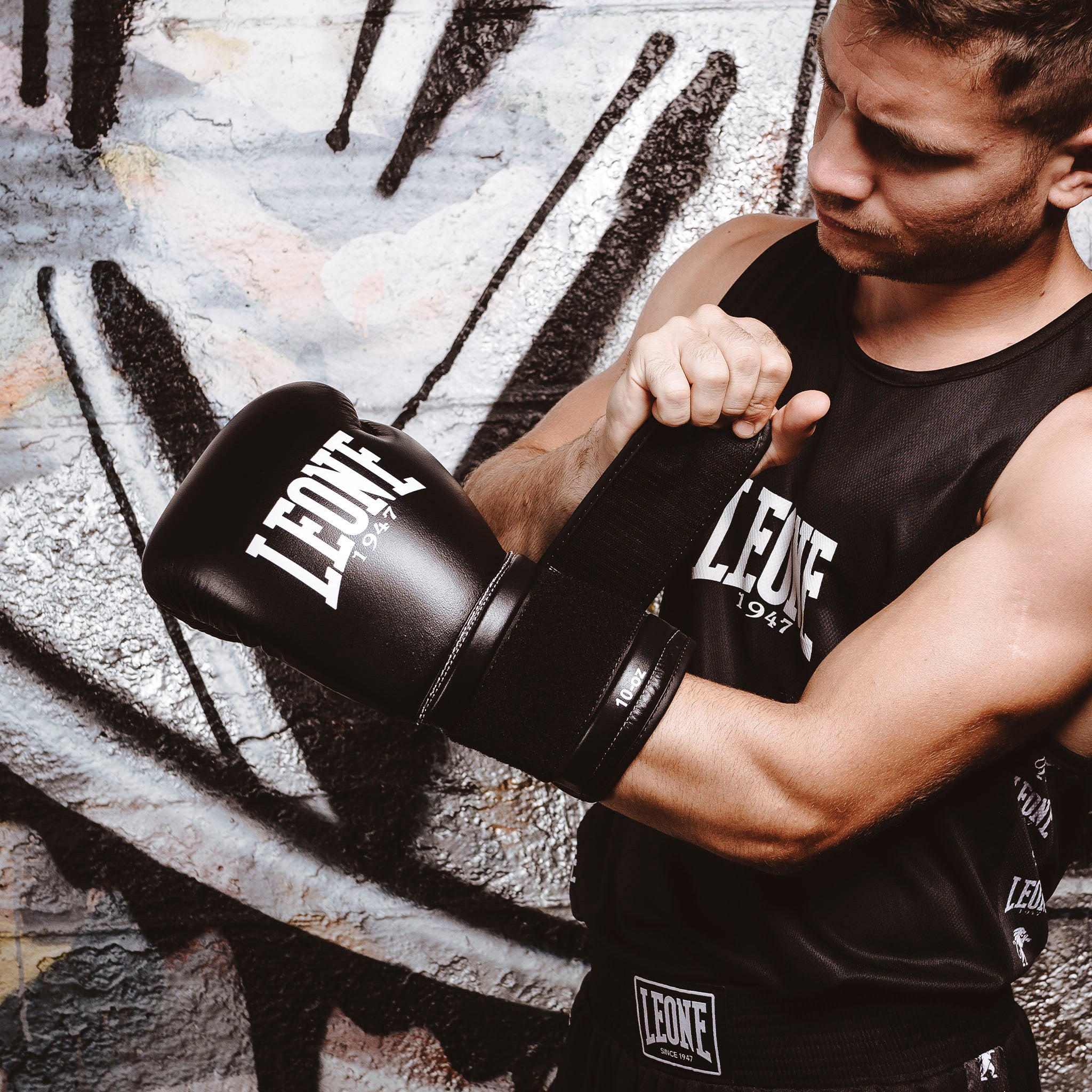 AMBASSADOR BOXING GLOVES