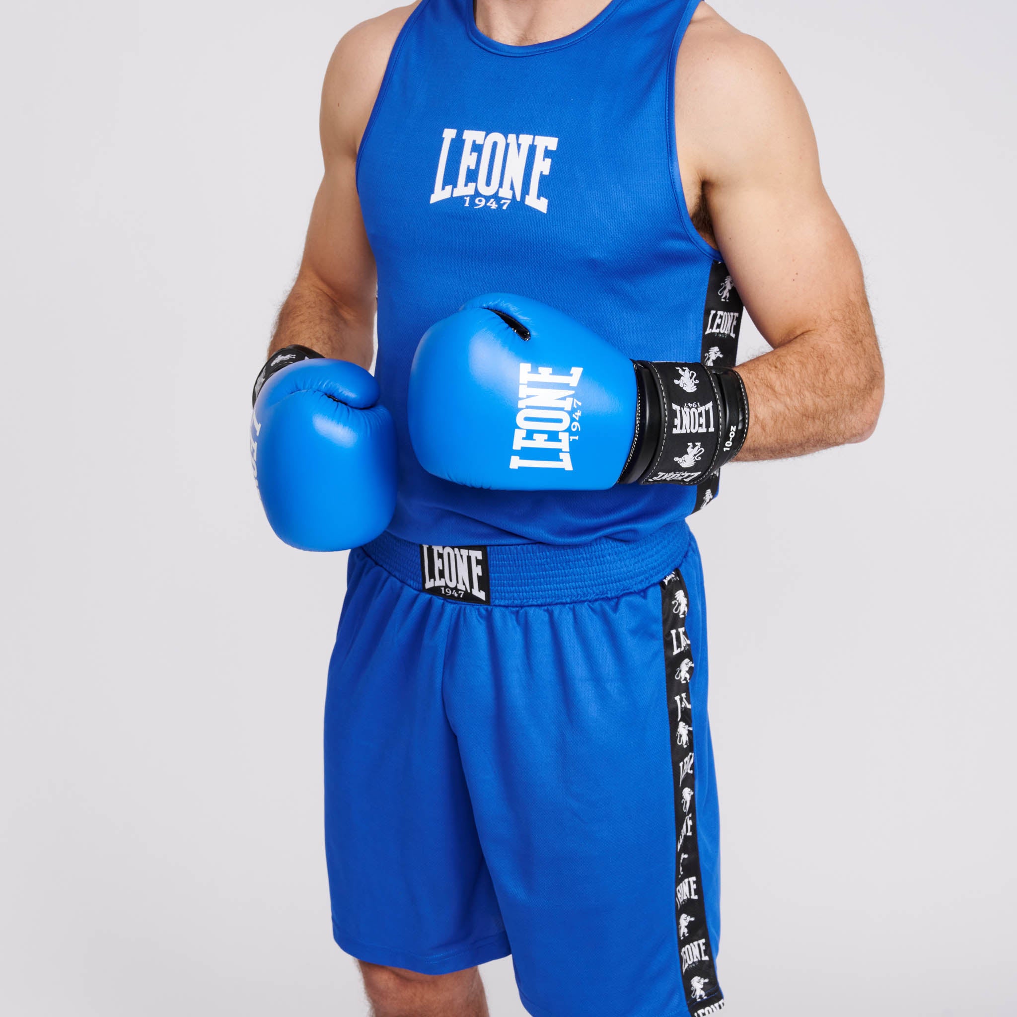 AMBASSADOR BOXING GLOVES