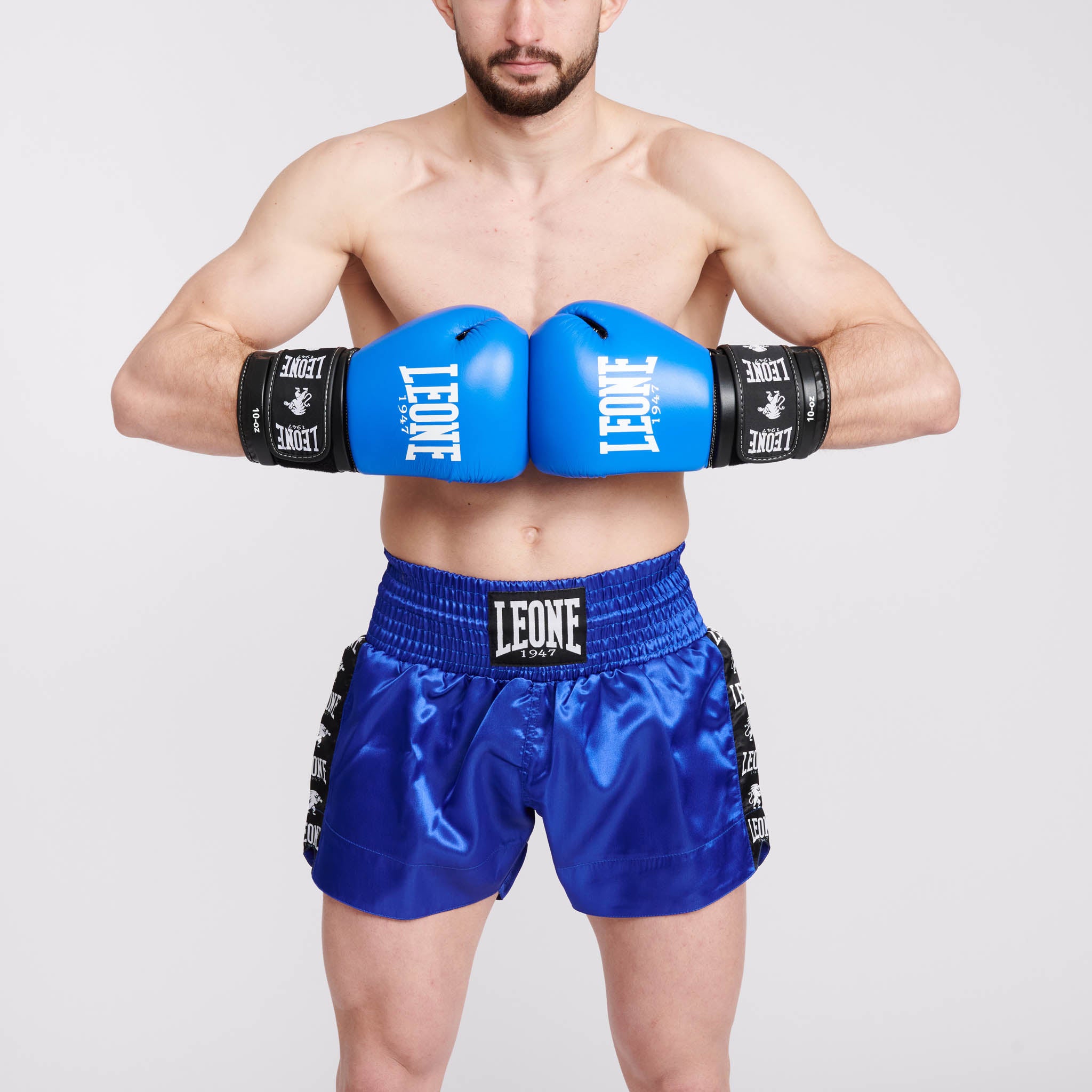 AMBASSADOR BOXING GLOVES