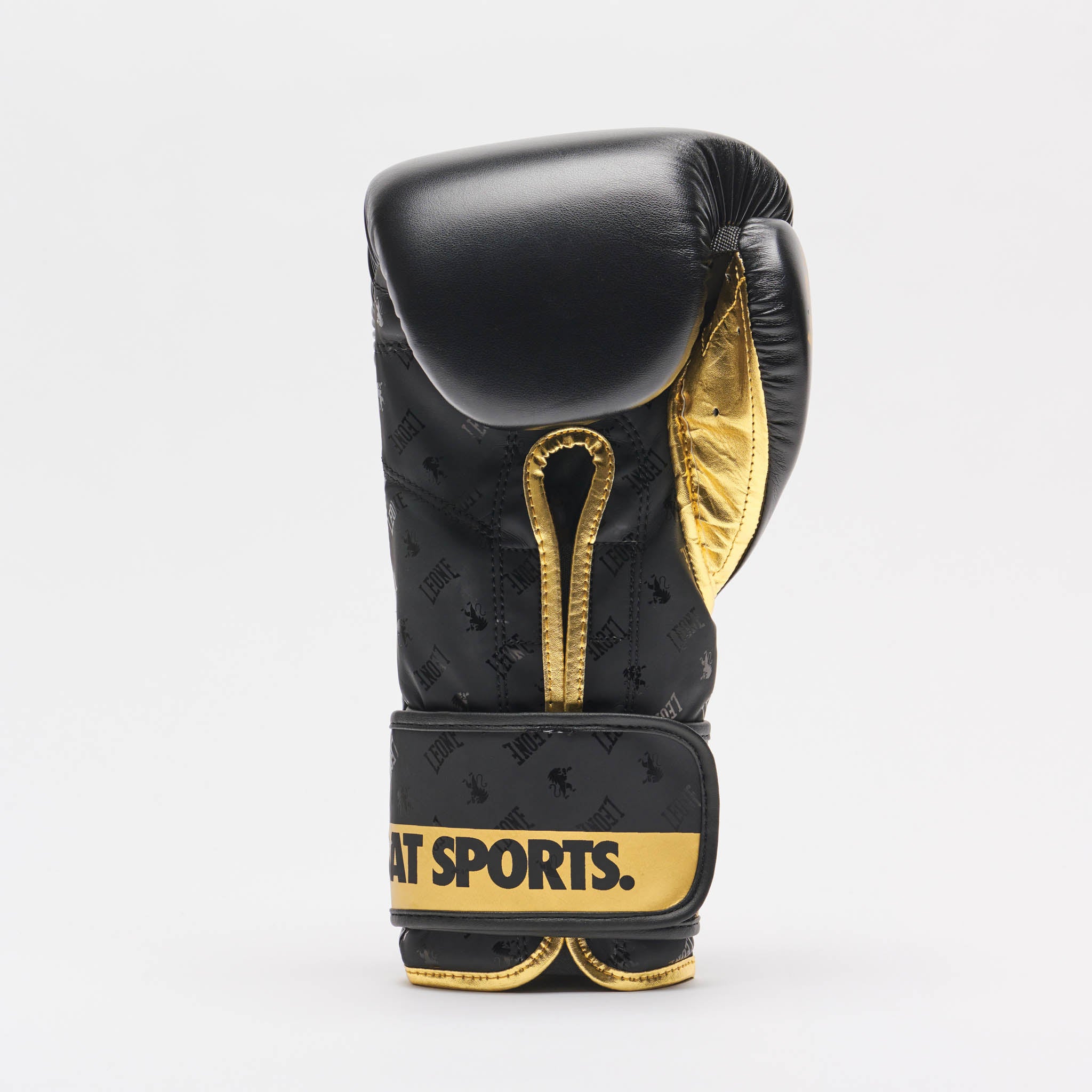 BOXING GLOVES DNA