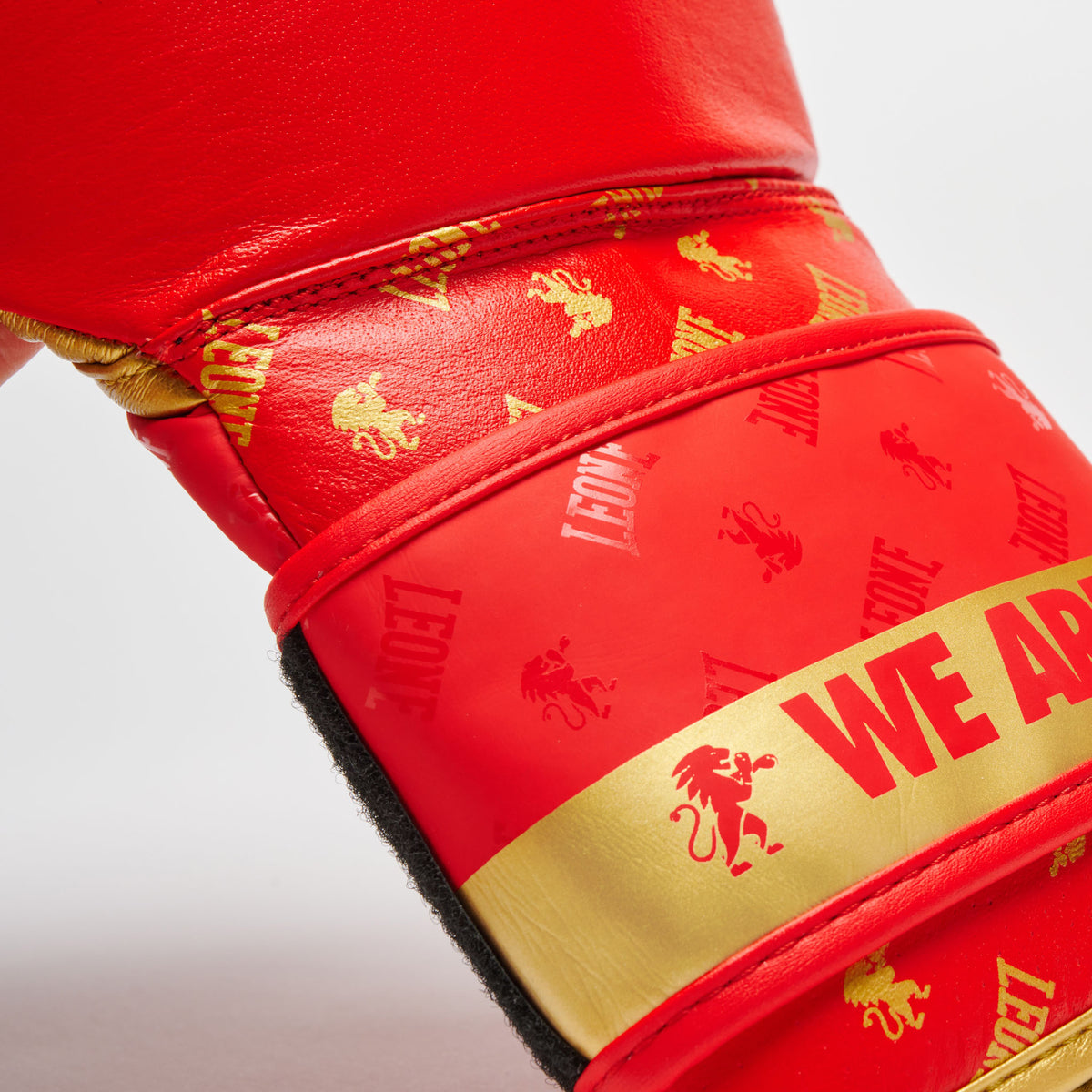 Leone 1947 GN220 DNA boxing gloves view 2