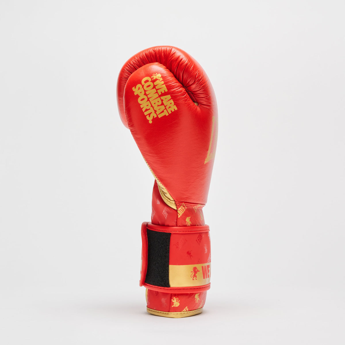 Leone 1947 GN220 DNA boxing gloves view 1