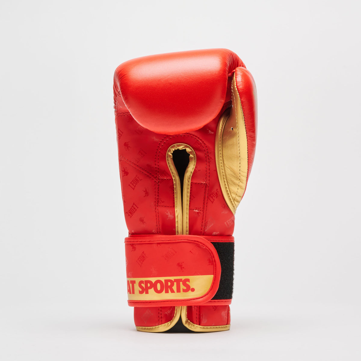 Leone 1947 GN220 DNA boxing gloves view 3