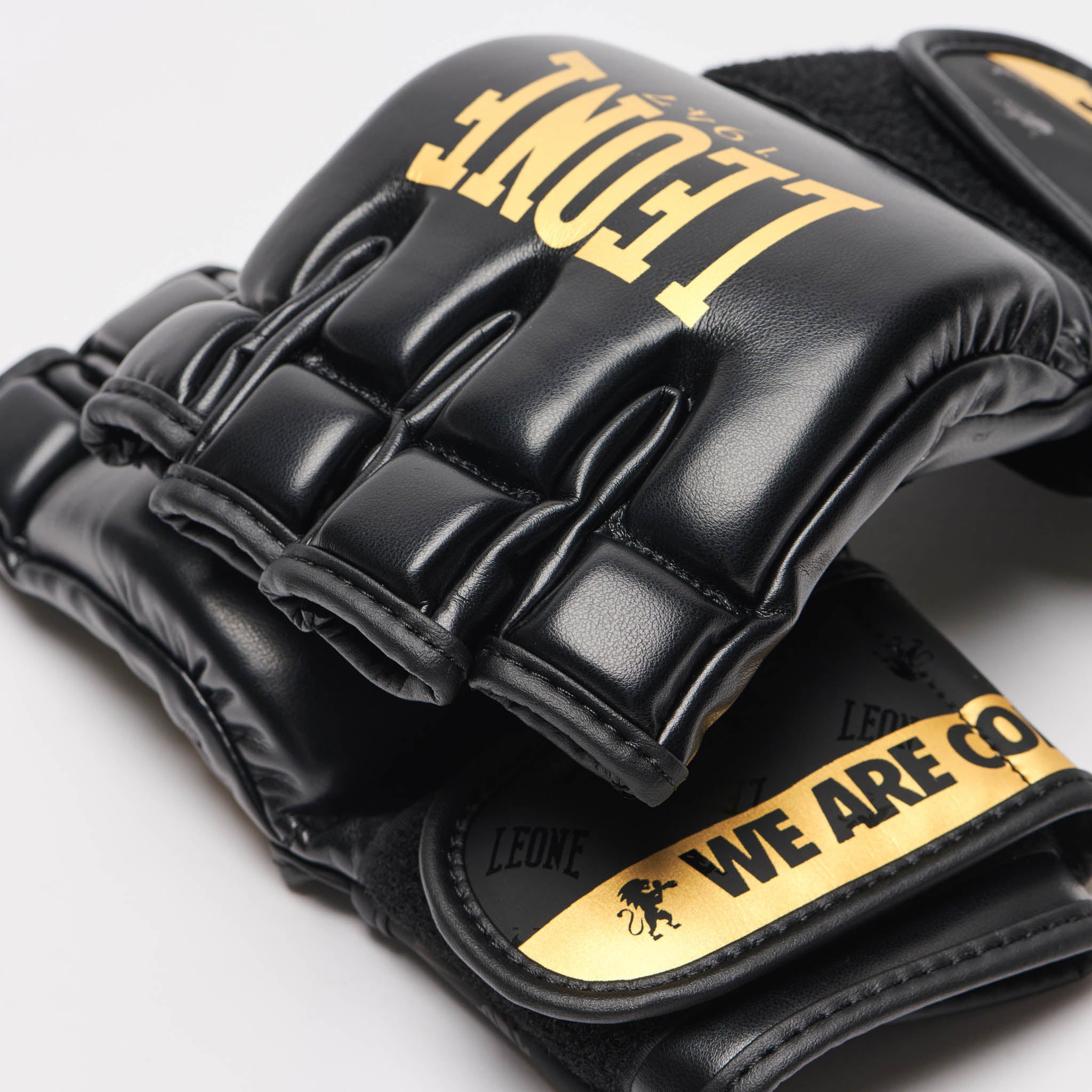 MMA GLOVES DNA